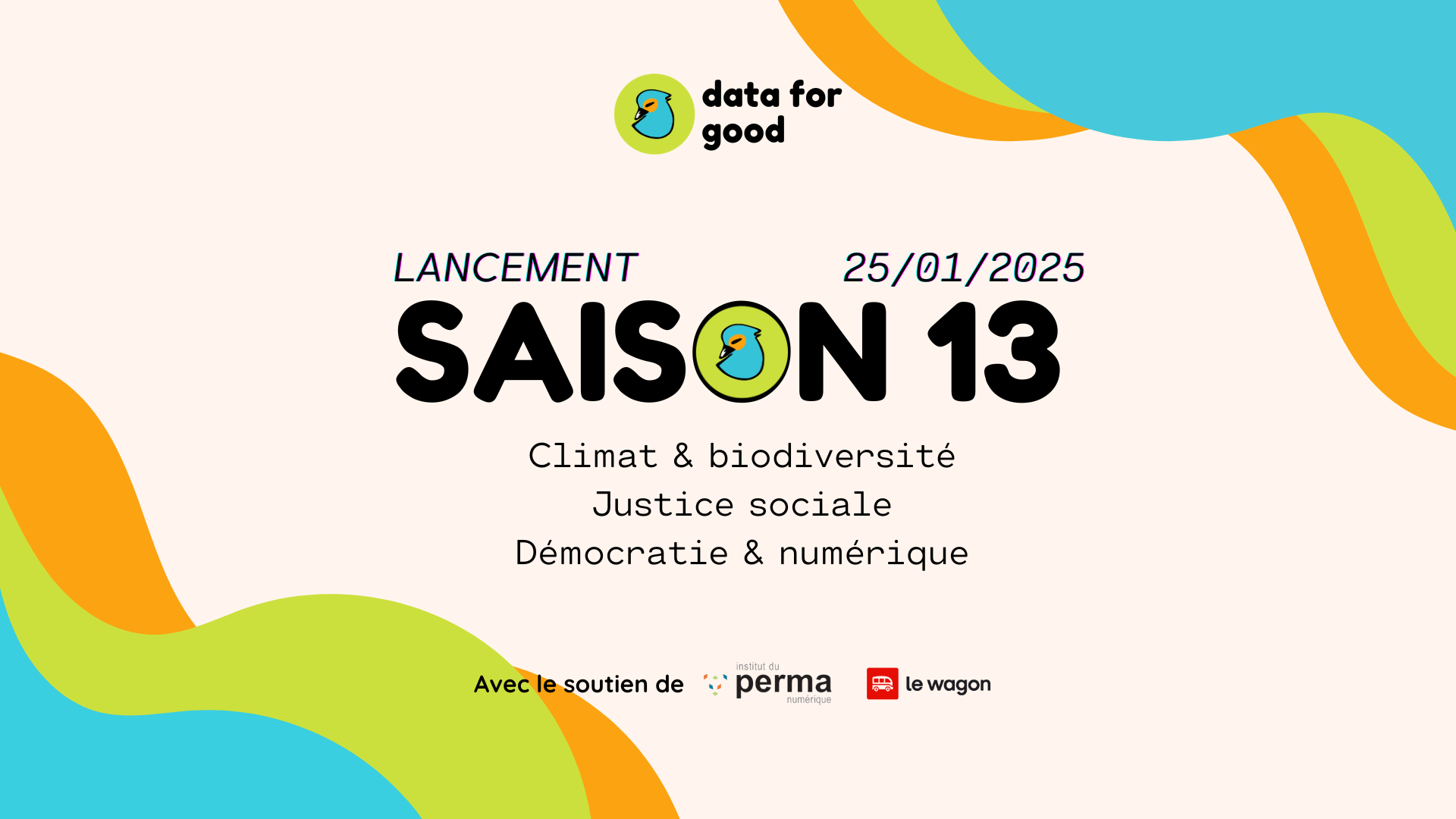 dfg-saison12